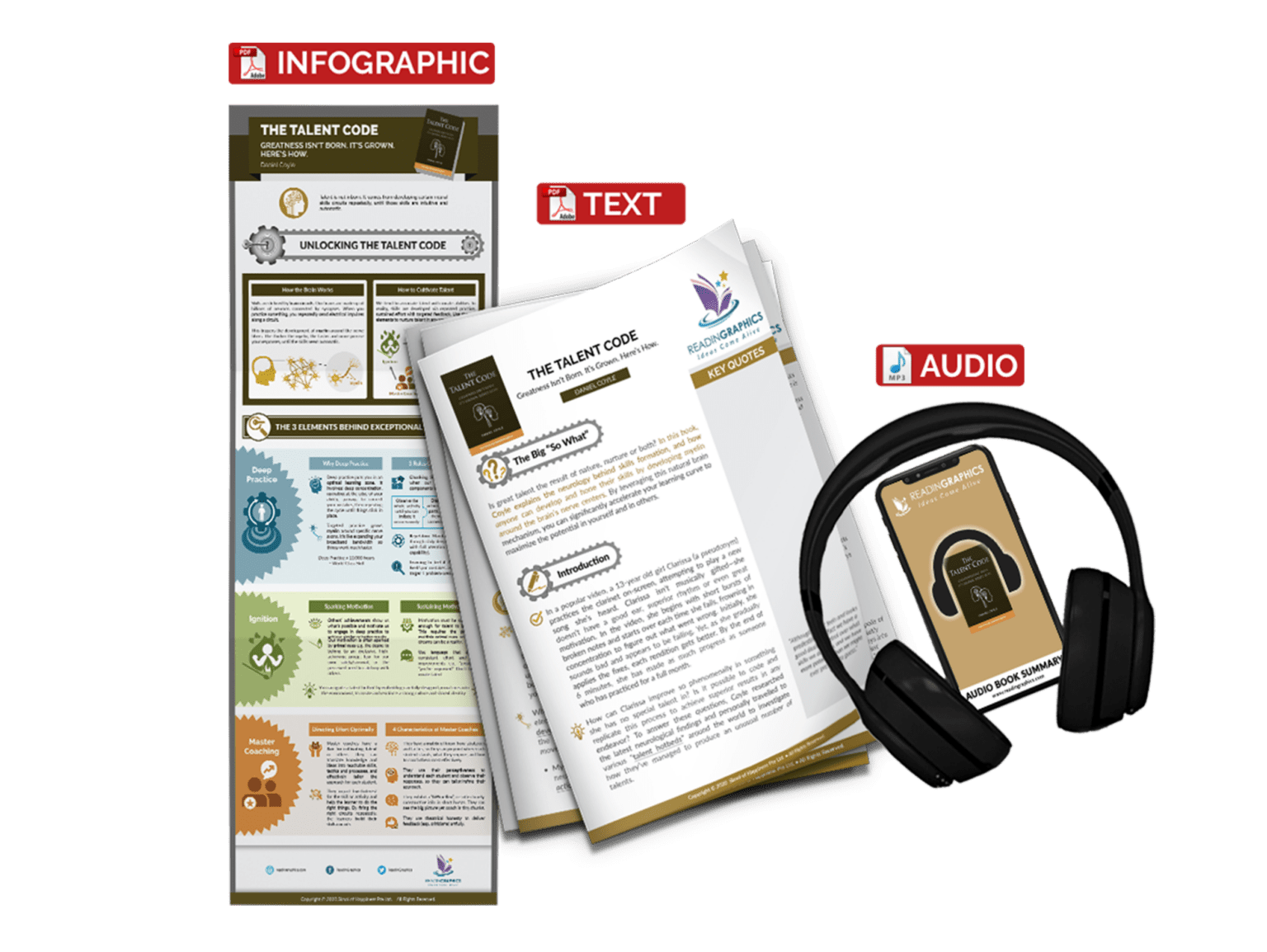 Talent Code Synopsis Book Summary – The Talent Code (Daniel Coyle)