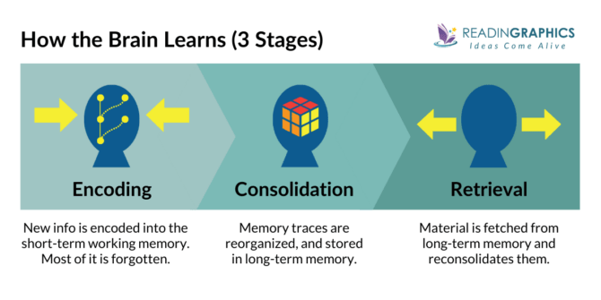 How Learning Actually Works How to Learn Fast: The Ultimate Guide to Lifelong Learning Skills
