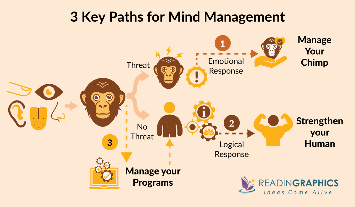 The Chimp Paradox summary - 3 main strategies in the mind management model 