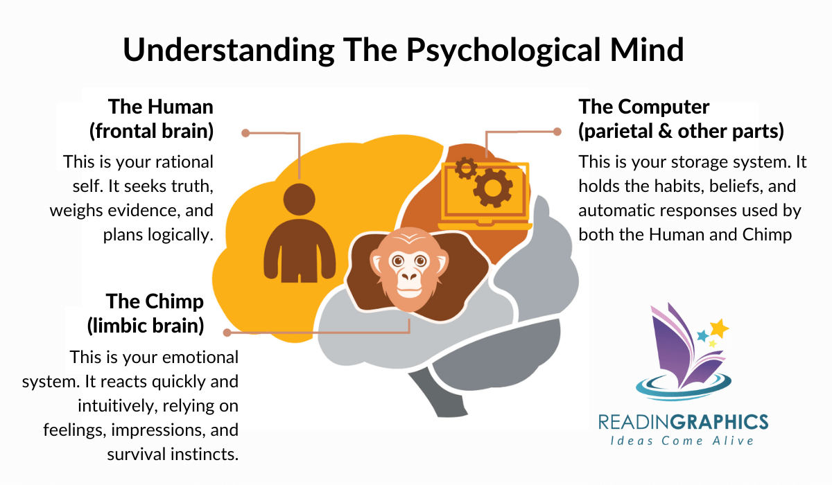 Book Summary The Chimp Paradox Steve Peters 