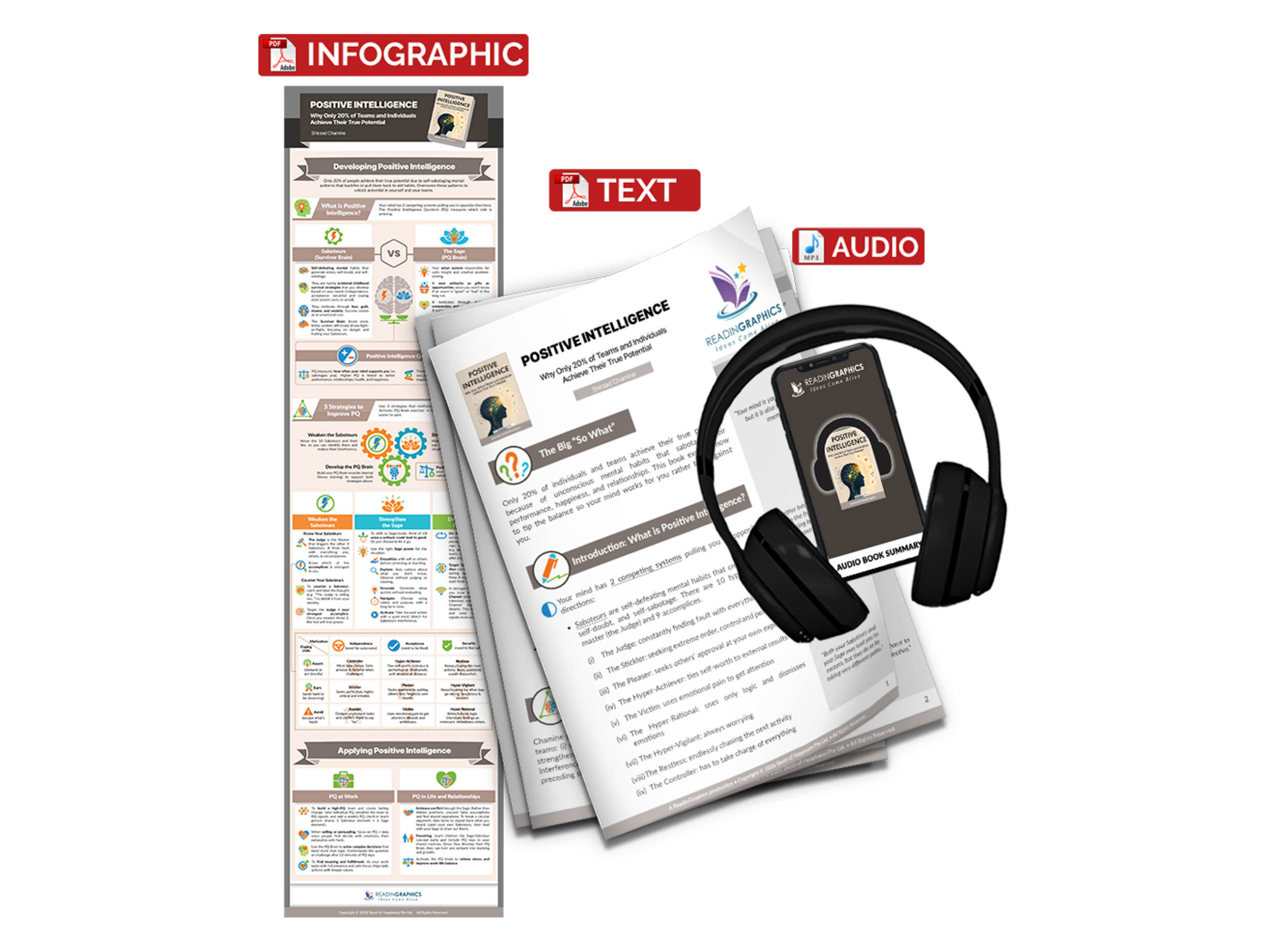 Positive Intelligence summary - Book Summary Bundle